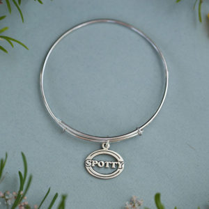 A silver expandable bangle with pets name inside an oval charm.