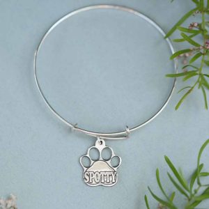 A silver paw with your pets name.  Perfect for dog collars or to be worn on a bangle.